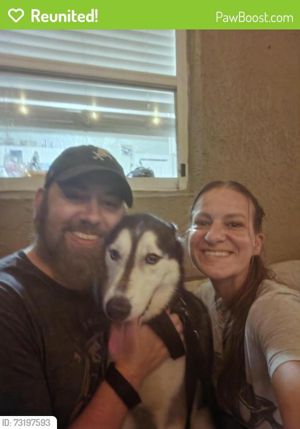 Reunited Male Dog last seen Near Orange Ave, St. Cloud, FL 34769
