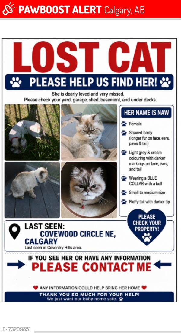 Lost Female Cat last seen Covewood circle NE, Calgary, AB 