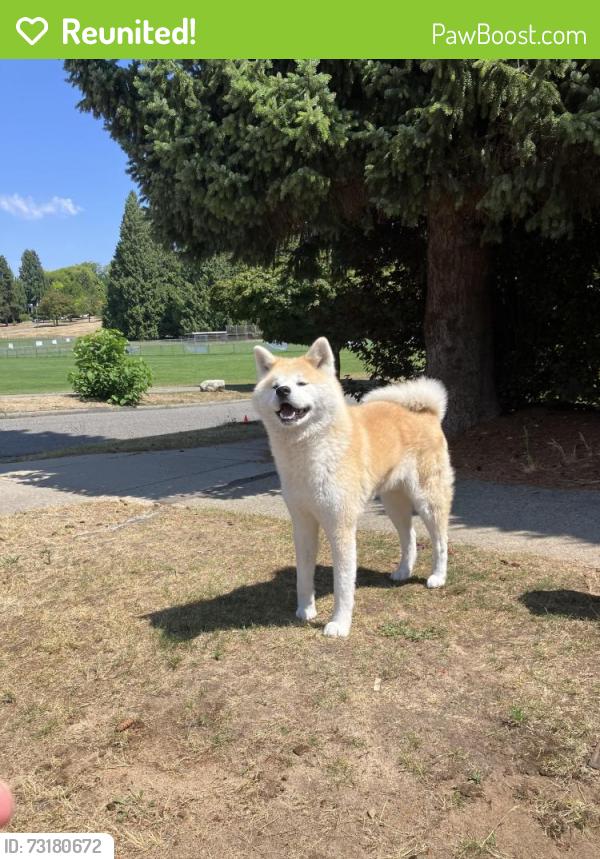 Reunited Male Dog last seen W 29th & Crown St, near Chaldecott Park, Vancouver, BC V6S 1V4