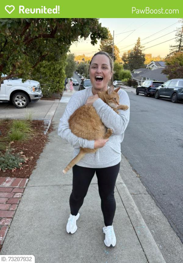 Reunited Male Cat last seen Hill Ave, San Carlos, CA 94070