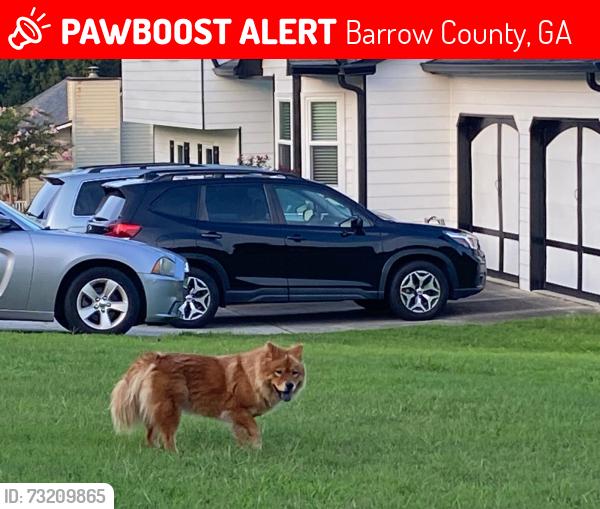 Lost Unknown Dog last seen Near Ruswood Road Winder GA 30680, Barrow County, GA 30680