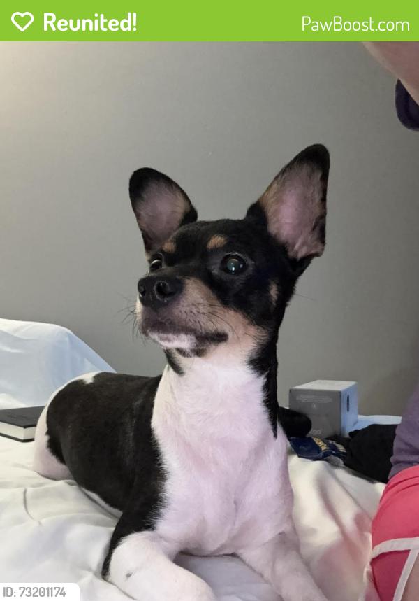Reunited Male Dog last seen Forsyth County Humane Society, Winston-Salem, NC 27104