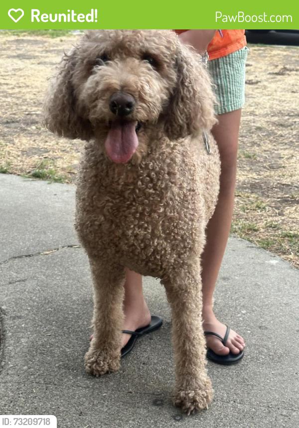 Reunited Unknown Dog last seen North Oakdale Rialto ca 92376, Rialto, CA 92376