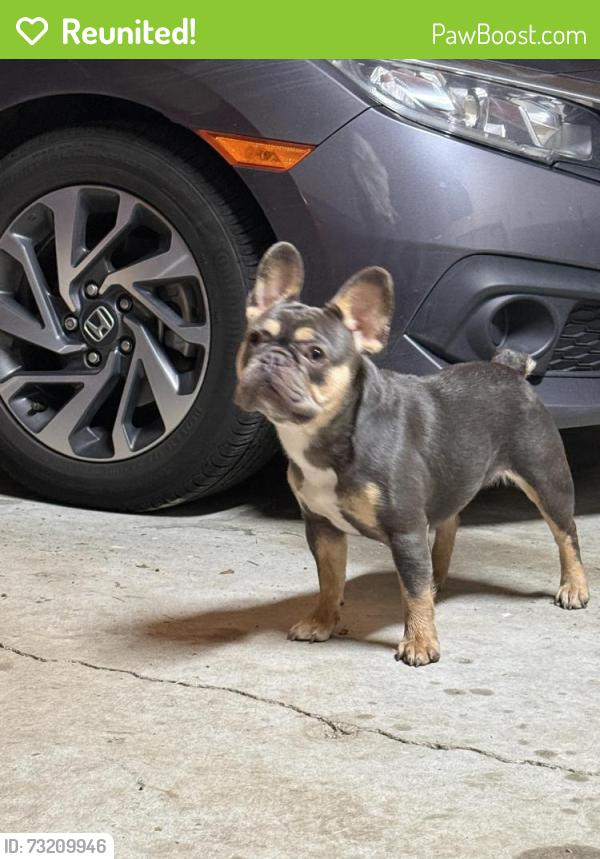 Reunited Female Dog last seen Near sweet gum ct in Durham, Durham, NC 27703