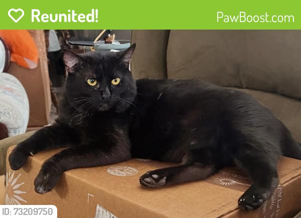 Reunited Male Cat last seen 37sndMaize, Maize, KS 67101