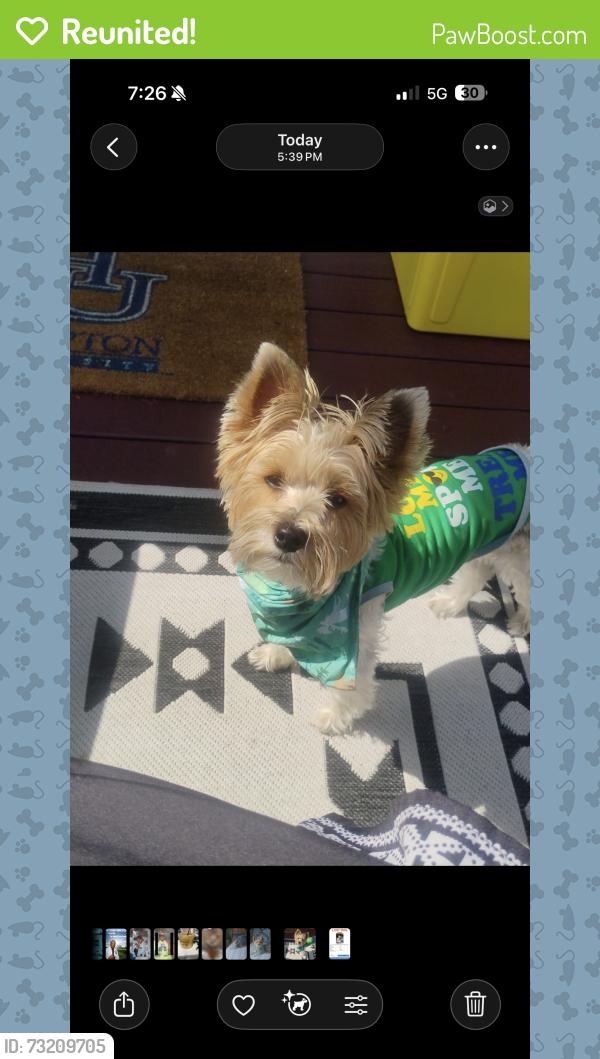 Reunited Male Dog last seen Lake Arbor Campus Way North, Mitchellville, MD 20774