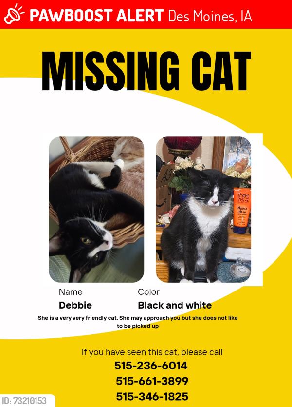 Lost Female Cat last seen Alderman lane, Des Moines, IA 50313