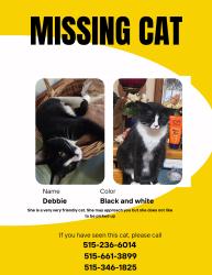 Lost Female Cat last seen Alderman lane, Des Moines, IA 50313