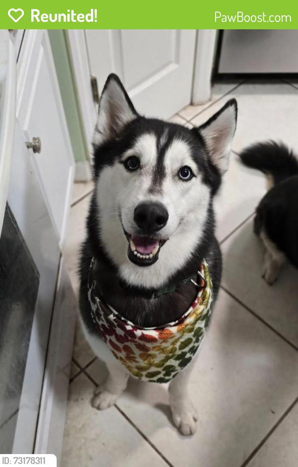 Reunited Male Dog last seen Orange Ave & Adams, St. Cloud, FL 34769