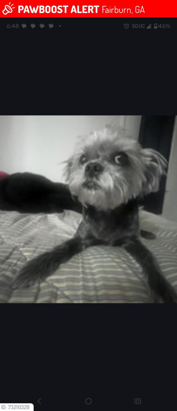 Lost Male Dog last seen Brookha6, Fairburn, GA 30213