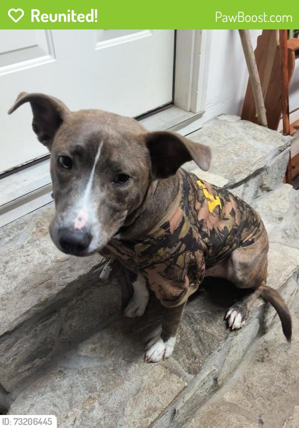 Reunited Male Dog last seen Hilliard Dr, Fayetteville, NC 28311
