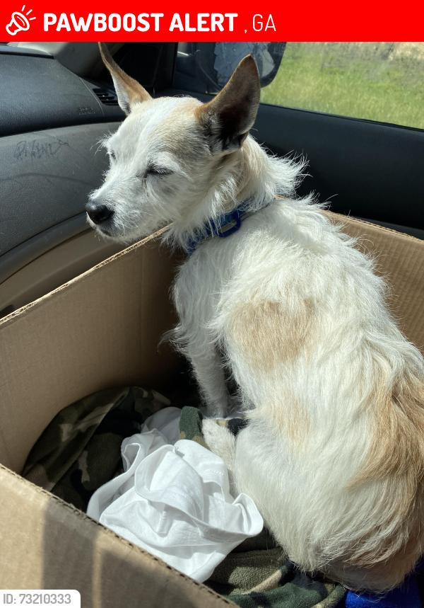 Lost Male Dog last seen Jackson County Georgia, Jefferson, GA 30549