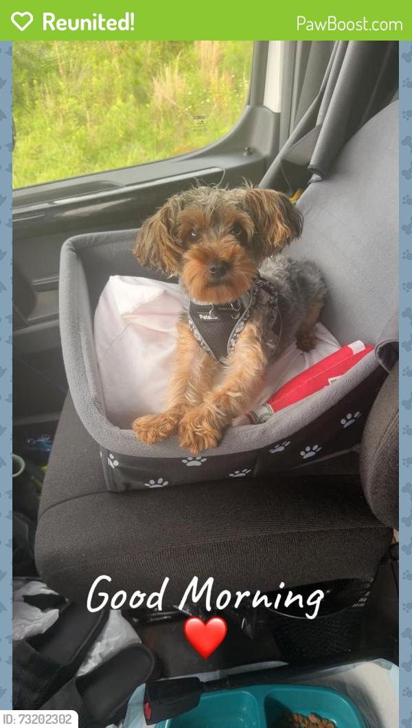 Reunited Male Dog last seen Speedway packaging, Greer, SC 29650