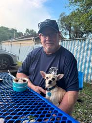 Reunited Male Dog last seen Near the fire station, Fairmont City, IL 62204