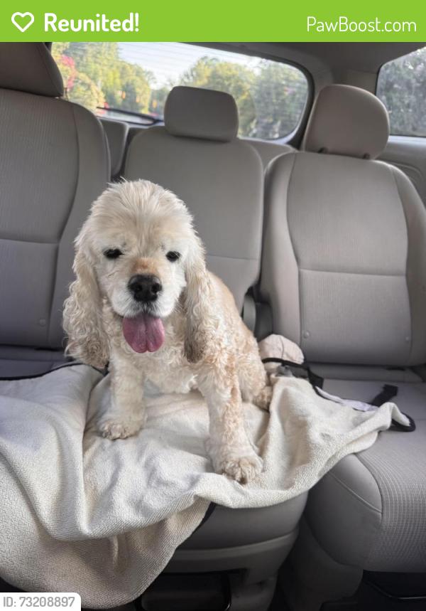 Reunited Female Dog last seen Chalk Road, Wake Forest, NC 27587
