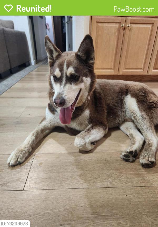Reunited Male Dog last seen Fiesta Island dog park, San Diego, CA 92109