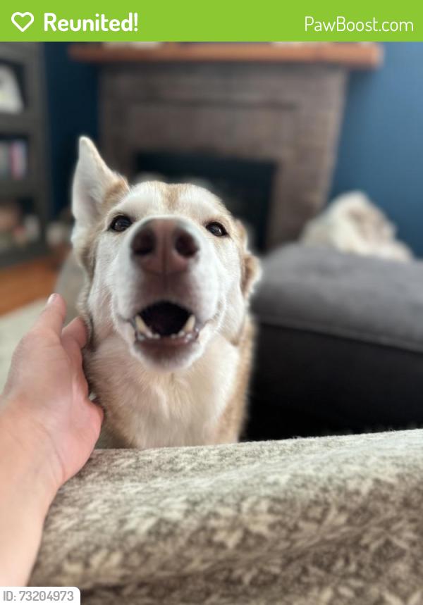 Reunited Female Dog last seen 13th and Emporia, Aurora, CO 80010