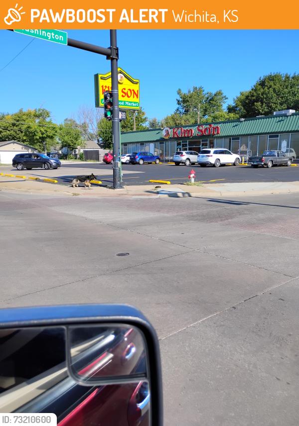 Found/Stray Unknown Dog last seen Kim Som, Wichita, KS 67216