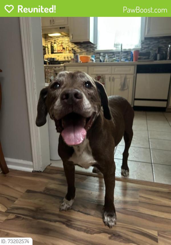 Reunited Male Dog last seen Gathering Oaks, Jacksonville, FL 32259