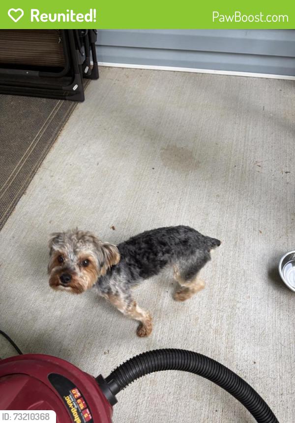 Reunited Male Dog last seen Fayetteville Rd, Durham, NC 27713