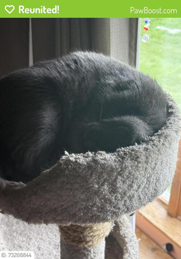 Reunited Male Cat last seen Ely street, Walker, IA 52352
