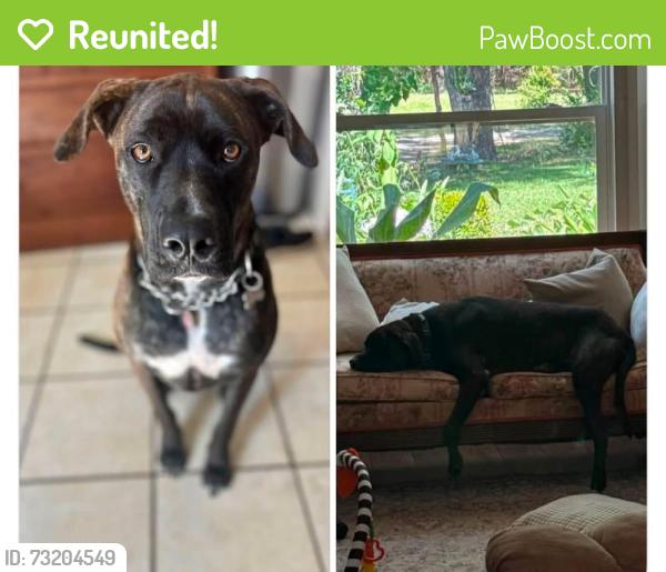 Reunited Male Dog last seen Last seen heading S Blake Robert’s Ave, Inverness, Inverness Highlands South, FL 34452