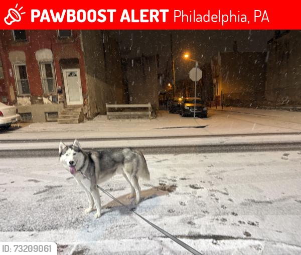 Lost Male Dog last seen Leigh ave & broad st, Philadelphia, PA 19133