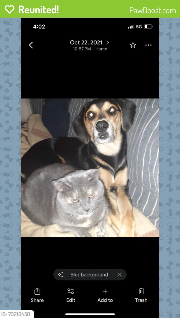 Reunited Male Dog last seen Barker field, Richmond, VA 23221