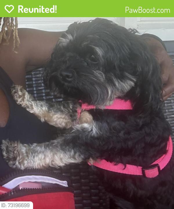 Reunited Female Dog last seen Johnsontown, Louisville, KY 40272