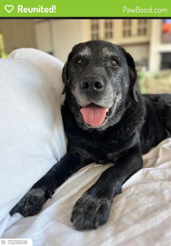 Reunited Male Dog last seen Francis Pond Preserve, Mill Neck, NY 11765