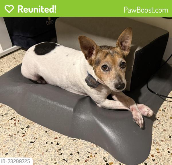 Reunited Male Dog last seen Highland Lakes Neighborhood, Miami, FL 33180