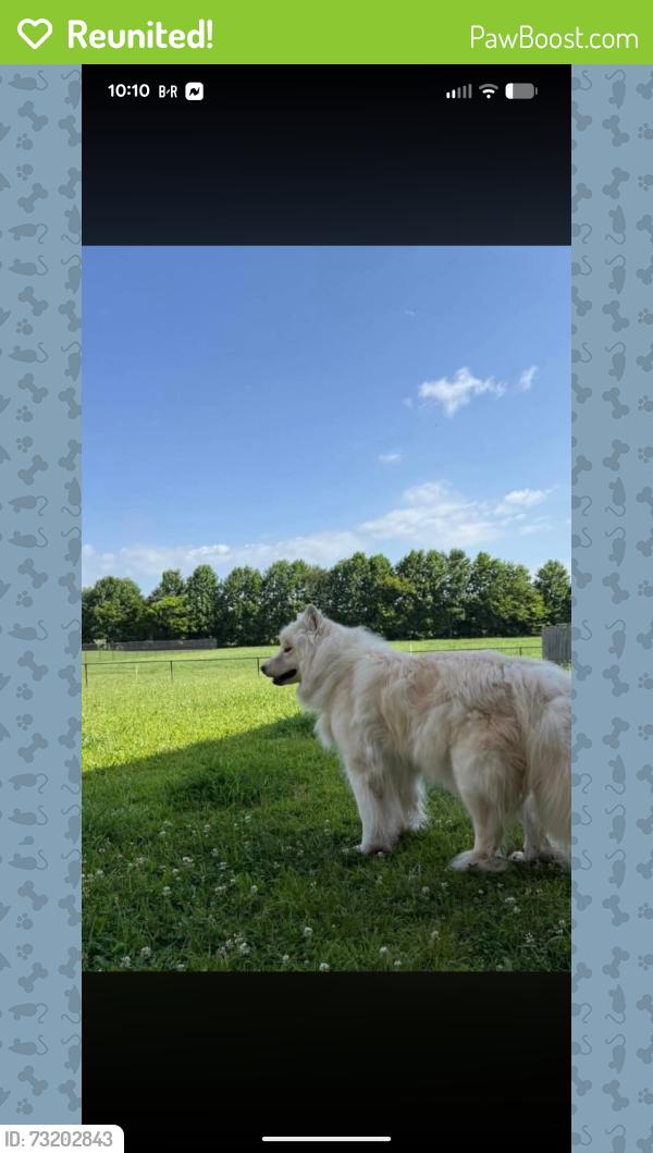 Reunited Female Dog last seen Highway 53 and Jeff Road, Harvest, AL 35749