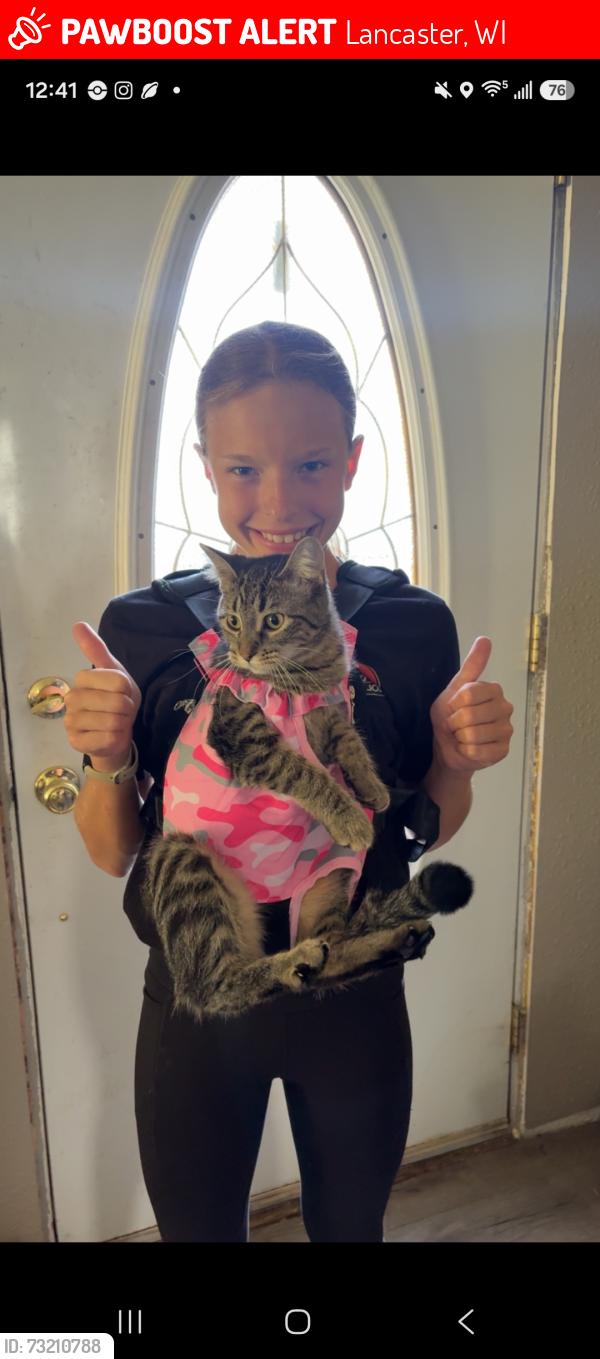Lost Female Cat last seen Friends hse, Lancaster, WI 53813