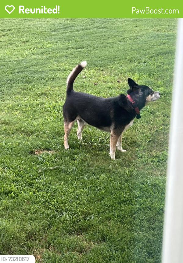 Reunited Male Dog last seen Paris bridge road, Boiling Springs, SC 29316