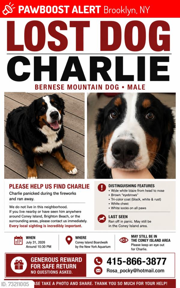 Lost Male Dog last seen Coney Island Boardwalk, Brooklyn, NY 11224