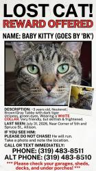 Lost Male Cat last seen Spruce and 5th, Allison, IA 50602