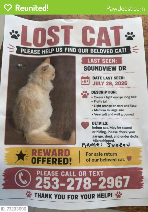Reunited Male Cat last seen Soundview drive, University Place, WA 98466