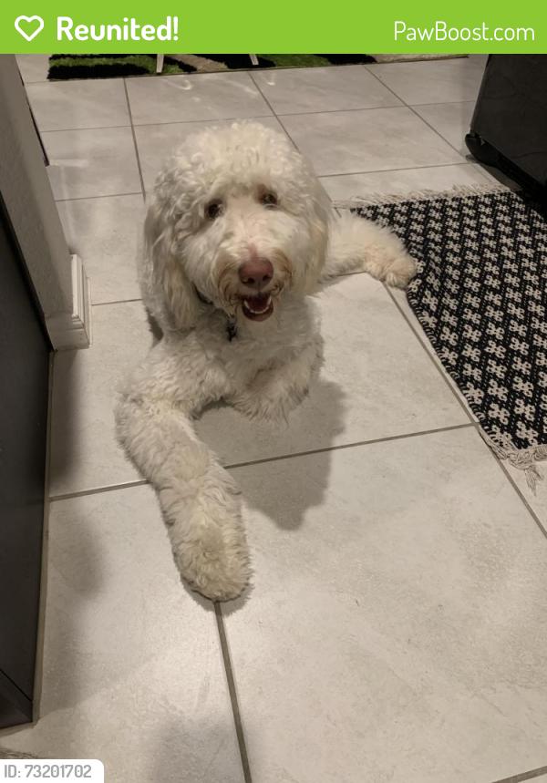 Reunited Male Dog last seen Near Fort Elliott Trl, Crowley, TX 76036