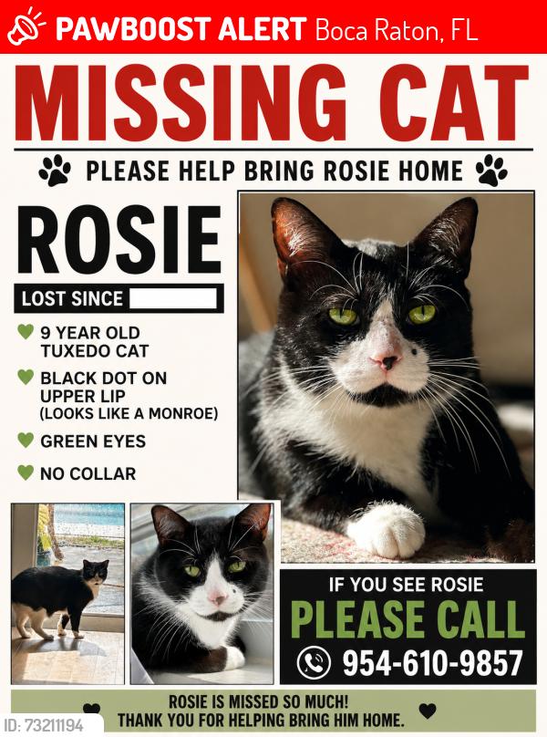 Lost Male Cat last seen Sw 12th ave, Boca Raton, FL 33486