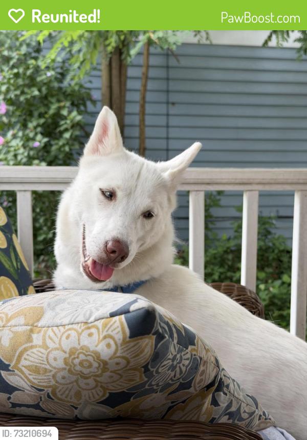 Reunited Female Dog last seen Yorkshire and Cottage Grove, Cleveland Heights, OH 44118