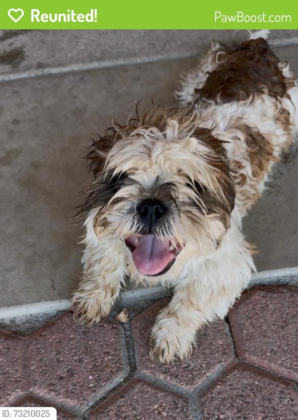 Reunited Male Dog last seen Trail Canyon Drive by Wineville park, Jurupa Valley, CA 91752