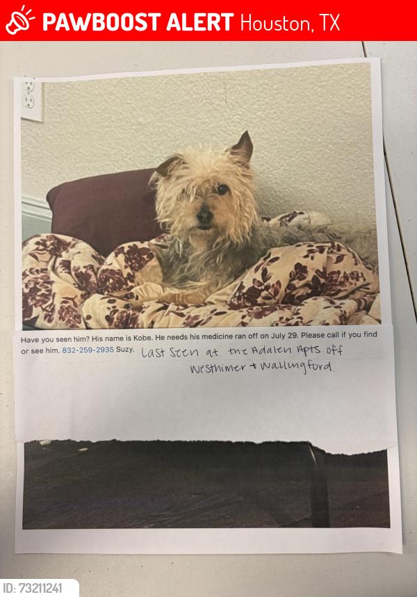Lost Male Dog last seen Wallingford and Westheimer, Houston, TX 77042