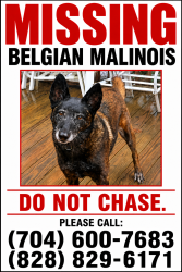 Lost Female Dog last seen Near flinthill church rd, Shelby, NC 28150