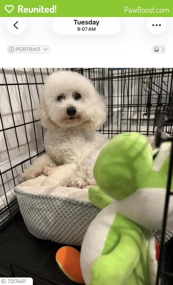 Reunited Male Dog last seen Wellspring church, Ruskin, FL 33570