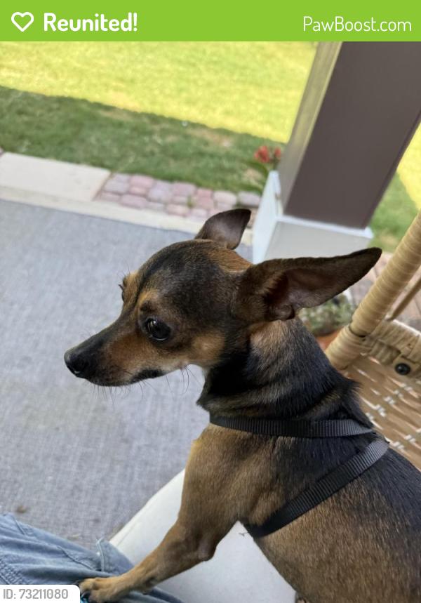 Reunited Male Dog last seen Sawyer Valley, San Antonio, TX 78254