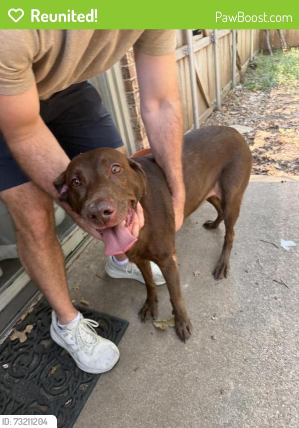 Reunited Female Dog last seen Halifax Dr, Arlington, TX 76013, USA, Arlington, TX 76013