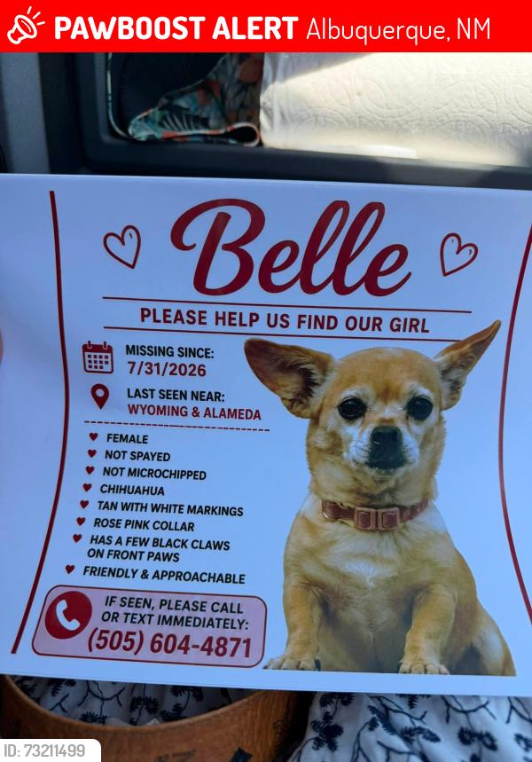 Lost Female Dog last seen La Cueva high school, Albuquerque, NM 87122