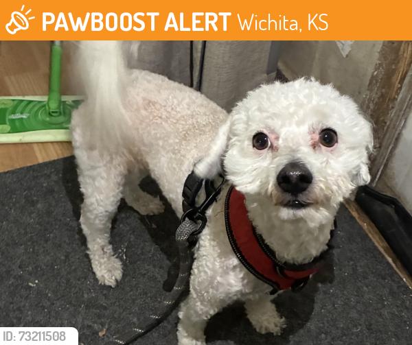 Found/Stray Male Dog last seen Near and Oliver, Wichita, KS 67210