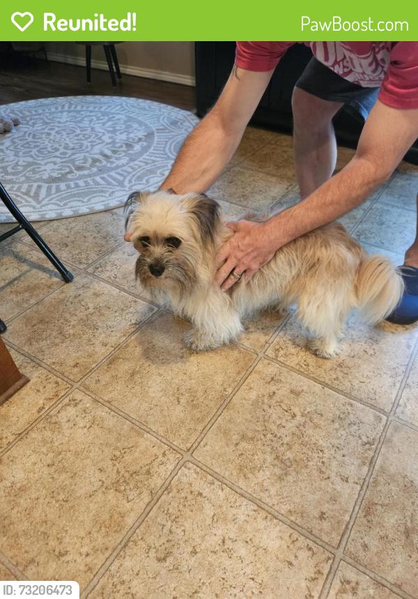 Reunited Male Dog last seen Blazing Star and Blue Sage, Fate, TX 75132