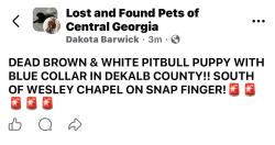 Found/Stray Unknown Dog last seen South Wesley Chapel & Snapfinger, Snapfinger, GA 30034